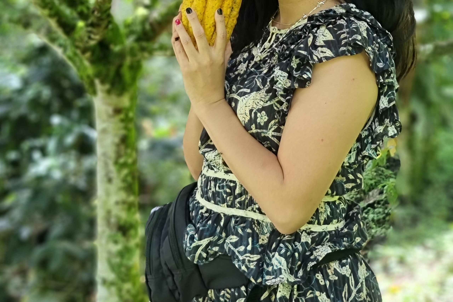 Medellin: Chocolate Farm Private Tour w/Workshop ja maistiaiset