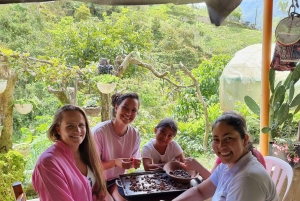 Medellin: Chocolate Farm Private Tour w/Workshop ja maistiaiset
