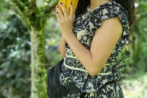 Medellin: Chocolate Farm Private Tour w/Workshop ja maistiaiset