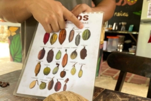 Medellin: Chocolate Making Tour with Cocoa Exfoliation