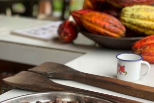 Medellin: Chocolate Making Tour with Cocoa Exfoliation