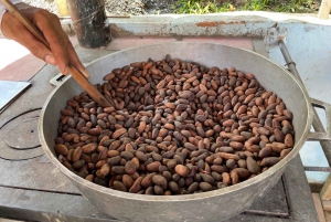 MEDELLÍN: TOUR DEL CHOCOLATE Y EXFOLIACIÓN EN EL HERMOSO RÍO