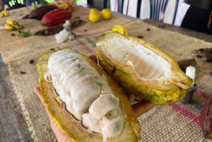 MEDELLÍN: TOUR DEL CHOCOLATE Y EXFOLIACIÓN EN EL HERMOSO RÍO
