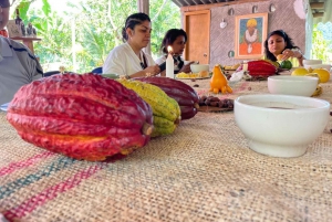MEDELLÍN: TOUR DEL CHOCOLATE Y EXFOLIACIÓN EN EL HERMOSO RÍO