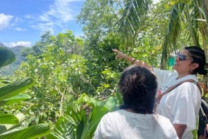 MEDELLÍN: TOUR DEL CHOCOLATE Y EXFOLIACIÓN EN EL HERMOSO RÍO