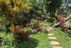 MEDELLÍN: TOUR DEL CHOCOLATE Y EXFOLIACIÓN EN EL HERMOSO RÍO
