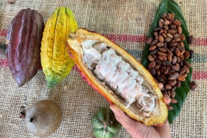 MEDELLÍN: TOUR DEL CHOCOLATE Y EXFOLIACIÓN EN EL HERMOSO RÍO