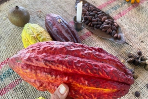 MEDELLÍN: TOUR DEL CHOCOLATE Y EXFOLIACIÓN EN EL HERMOSO RÍO