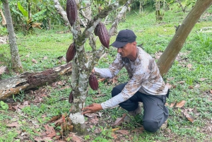 MEDELLÍN: CHOKLADTUR OCH EXFOLIERING I VACKER FLOD!