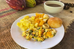 MEDELLÍN: CHOKLADTUR OCH EXFOLIERING I VACKER FLOD!