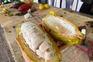 MEDELLÍN: CHOKLADTUR OCH EXFOLIERING I VACKER FLOD!