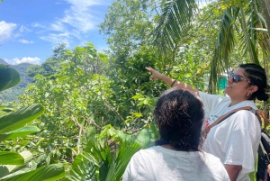 MEDELLÍN: CHOKLADTUR OCH EXFOLIERING I VACKER FLOD!
