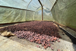 MEDELLÍN: CHOKLADTUR OCH EXFOLIERING I VACKER FLOD!
