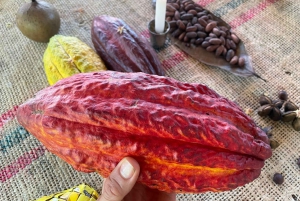 MEDELLÍN: CHOKLADTUR OCH EXFOLIERING I VACKER FLOD!