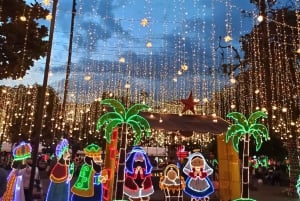 Medellin: Christmas Lights City Tour in a Themed Vehicle