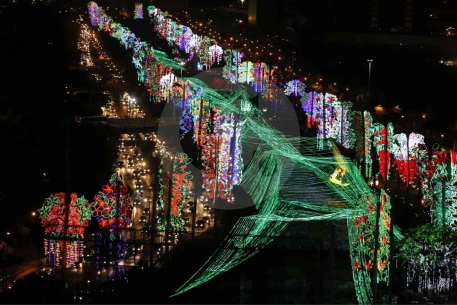 Tour Party Bus por Alumbrado Navideño de Medellin con Fiesta y Musica