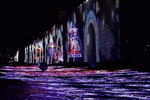 Tour Party Bus por Alumbrado Navideño de Medellin con Fiesta y Musica