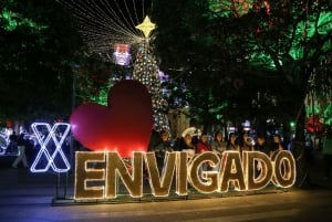 Tour Party Bus por Alumbrado Navideño de Medellin con Fiesta y Musica
