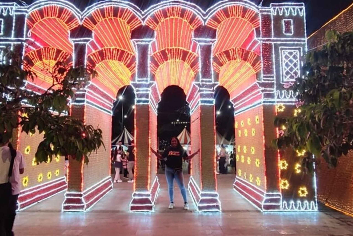 Medellin : Visite guidée des lumières de Noël avec un guide régional