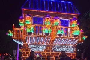 Medellin: Christmas Lights Tour with a Local Guide