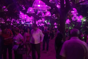 Medellin Christmas Lights Tour