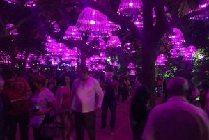 Recorrido por las luces navideñas de Medellín