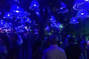 Recorrido por las luces navideñas de Medellín