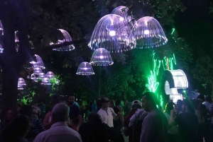 Recorrido por las luces navideñas de Medellín