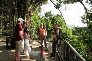 Medellín City Tour by 5 Hours (transportation + guide)