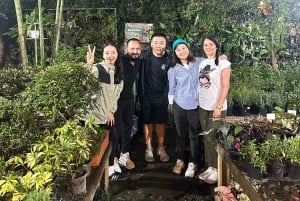 Medellin : visite privée nocturne en vélo électrique + dîner gastronomique