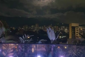 Medellin: Luxury and Private City Tour in French