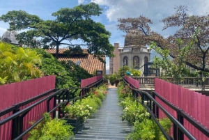 Medellín City Tour – The Renaissance of a City