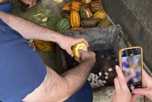 Chocolate tour near the Medellín