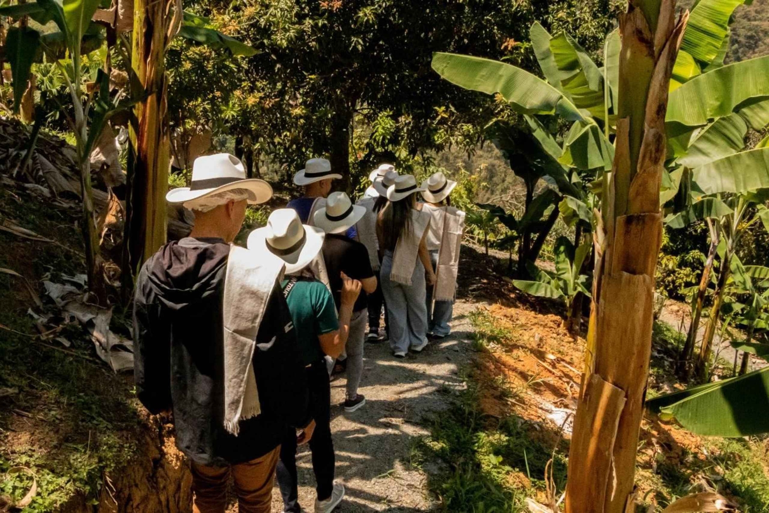 Medellin: Wycieczka po kawie i owocach