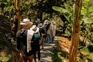 Medellin: Wycieczka po kawie i owocach