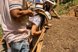 Medellin: Wycieczka po kawie i owocach