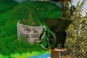 Medellin: Wycieczka po kawie i owocach