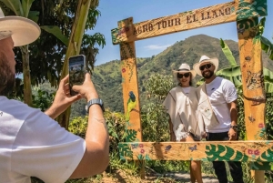 Medellin: Wycieczka po kawie i owocach