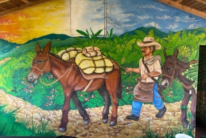 Medellin: Wycieczka po kawie i owocach