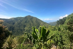 Medellin: Wycieczka po kawie i owocach