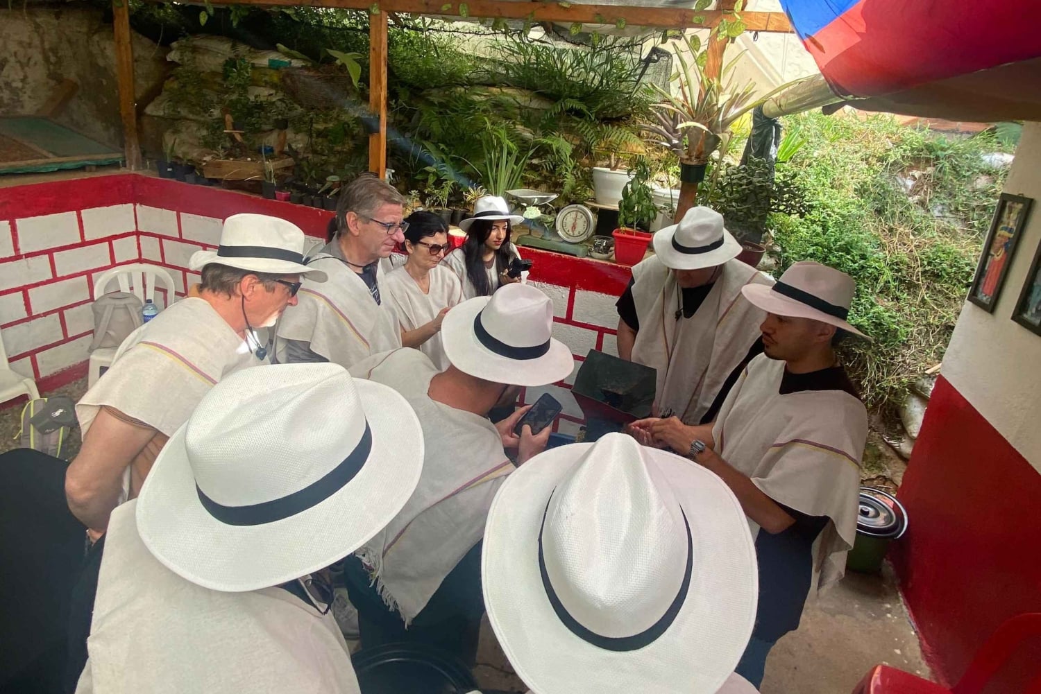 Medellín: kahvikokemusretki maatilalla ja köysirata