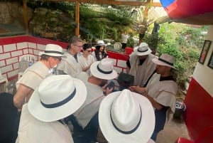 Medellín: kahvikokemusretki maatilalla ja köysirata