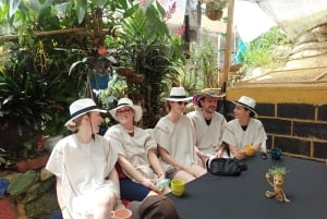 Medellín: kahvikokemusretki maatilalla ja köysirata