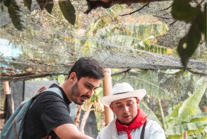 Medellin: Coffee Farm and Barista Workshop Experience Tour
