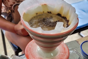 Medellín: koffieboerderij-ervaring met proeverij (kleine groepen)