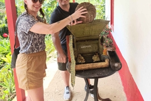 Medellín: koffieboerderij-ervaring met proeverij (kleine groepen)