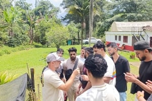 Medellín: koffieboerderij-ervaring met proeverij (kleine groepen)