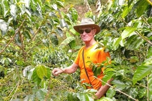 Medellín: Coffee Farm Experience with Tasting (Small groups)
