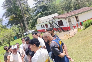 Medellín: Coffee Farm Experience with Tasting (Small groups)