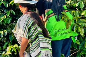 Medellin: Kaffefarm-tur – smak på Sierra-historiene